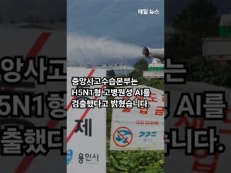 충북 진천서 고병원성 AI 발생, 동절기 18건 #news #이슈 #고병원성AI #닭폐기처뷰