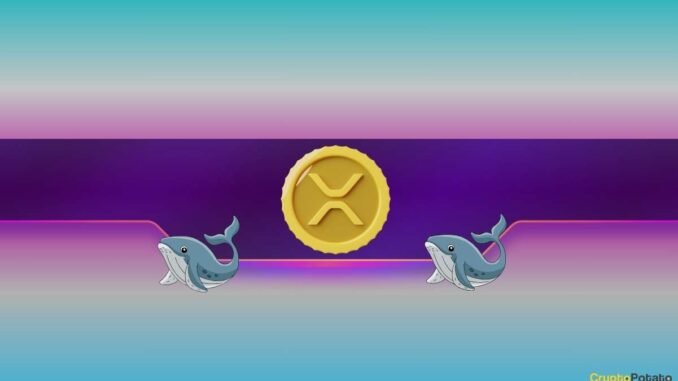 How Will Ripple (XRP) and Dogecoin (DOGE) Prices React as Whales Keep Buying?