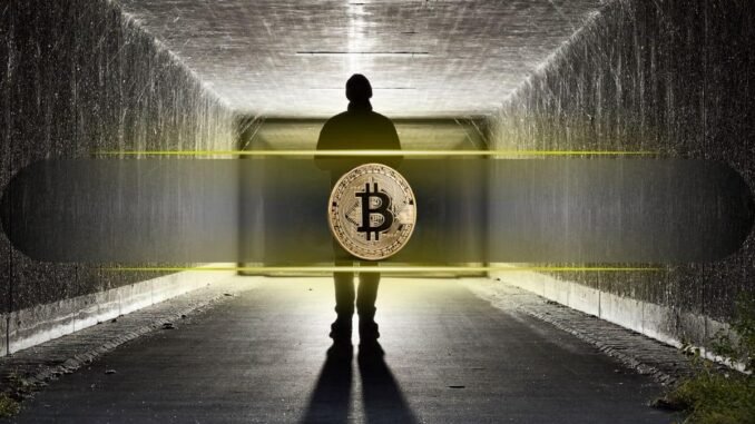 Was Satoshi Nakamoto Active Until 2014?