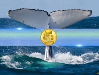 4 Bullish Indicators Suggest Dogecoin (DOGE) Is Ready to Rally