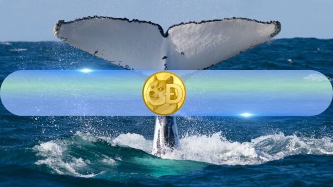 4 Bullish Indicators Suggest Dogecoin (DOGE) Is Ready to Rally 4 Bullish Indicators Suggest Dogecoin (DOGE) Is Ready to Rally