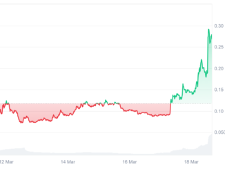 Here’s why Bubblemaps (BMT) price soared 110% today