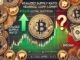 Bitcoin Realized Supply Ratio Near Historic Lows – Local Bottom Or Bear Market Incoming?