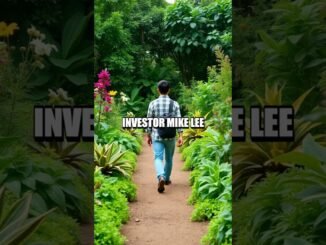 Crypto Beginner's Guide to Identifying Gems and Managing Risks