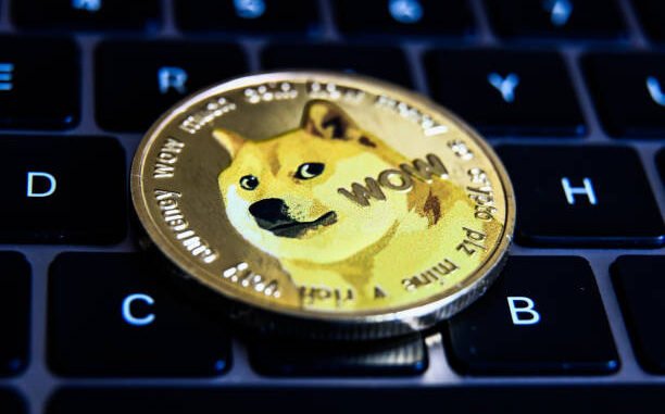 Dogecoin's Journey To Its Current Peak Hinges On This Pivotal Dogecoin