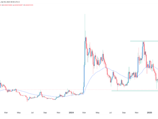 Shiba Inu Price