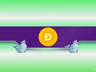 What Are Dogecoin Whales Preparing For?