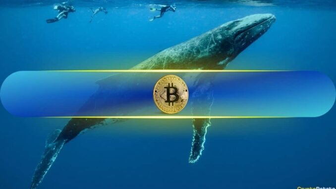Bitcoin to $121K Next Week? Mega Whale Wynn Bet $1.25B Bitcoin to $121K Next Week? Mega Whale Wynn Bet $1.25B on It