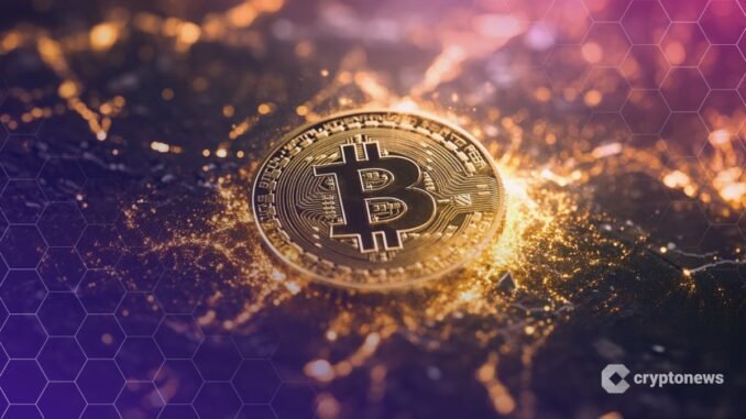 Will Bitcoin Survive Without Trump? Hedge Funds Aren’t Convinced, Says Will Bitcoin Survive Without Trump? Hedge Funds Aren’t Convinced, Says Semler