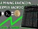 Cara Mudah Mining RavenCoin Via Termux Cuman Pake HP Android - Meluncur Projectz