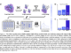 Chai Discovery Team Releases Chai-2: AI Model Achieves 16% Hit Rate in De Novo Antibody Design
