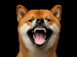 Dogecoin