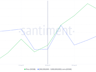Dogecoin Whale Holdings