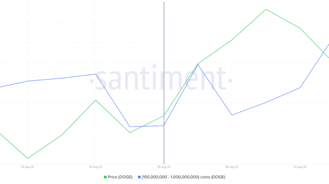 Dogecoin Whale Holdings