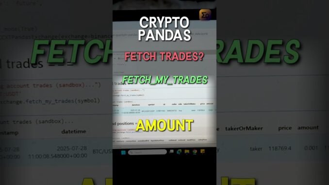 Fetch ALL Your Crypto Trades (Python for Beginners!) #ccxt #cryptotrading