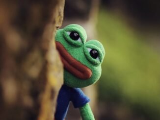 Investor Sues Pepe Creator Over Role in N Korean NFT Hack