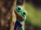 Investor Sues Pepe Creator Over Role in N Korean NFT Hack