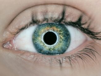 SoundHound is giving its AI the power of sight