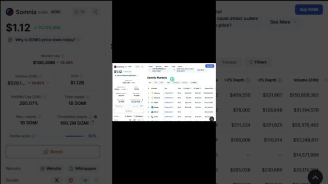 Somnia Coin Listing On Binance 🚨 ｜ SOMI Crypto News Today & Price Prediction