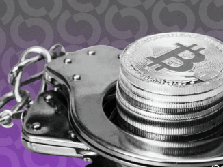 Woman Pleads Guilty to $7 Billion Bitcoin Fraud Scheme in UK