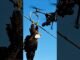 CABLE CUTTER: Aerial Drone Pilot Guides Device to Free Eagle Hanging from Power Line!  #shorts #veo3