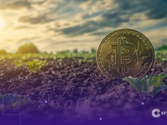 Crypto Market Prospect After the Washout, Soil Looks Richer