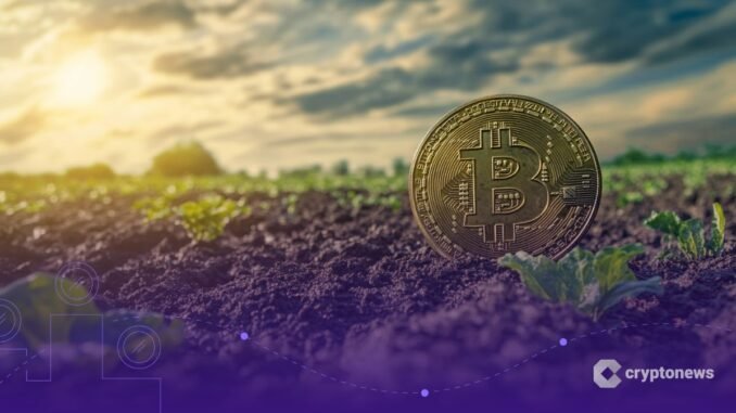 Crypto Market Prospect After the Washout, Soil Looks Richer Crypto Market Prospect After the Washout, Soil Looks Richer