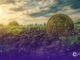 Crypto Market Prospect After the Washout, Soil Looks Richer