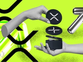 XRP Whale Holdings Fall To Its Lowest Levels Since 2023