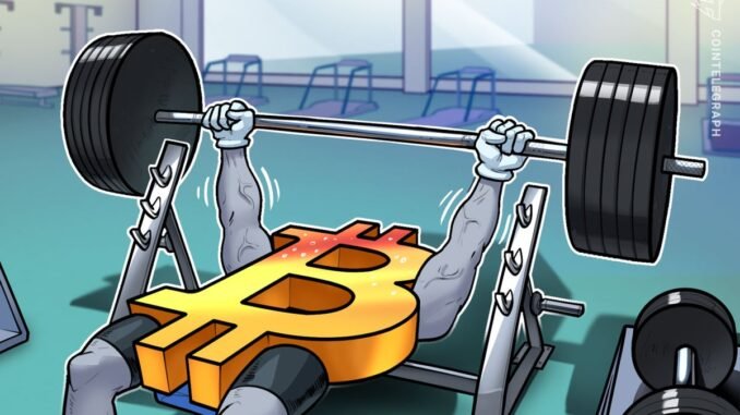 BTC Liquidation Data Could Push Price to New Highs: Analyst