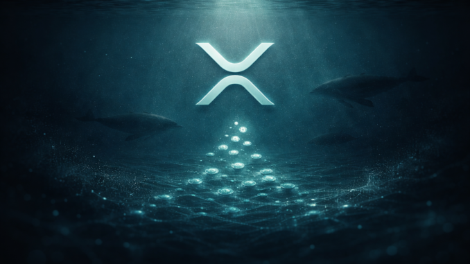 XRP Whales