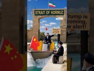 Strait of Hormuz Showdown 🚨 | AI News Gone Crazy 😂 #funny #viral #dog #shorts