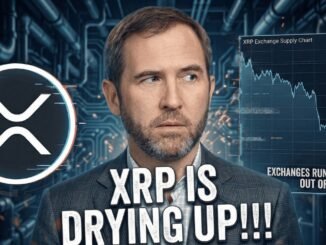 XRP IS DUE FOR A REBOUND! - XRP IS DRYING UP ON EXCHANGES - CORPORATES WILL ALL NEED & WANT XRP