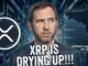 XRP IS DUE FOR A REBOUND! - XRP IS DRYING UP ON EXCHANGES - CORPORATES WILL ALL NEED & WANT XRP