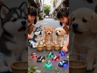 cat and car store #ai #aishorts #aivideo #cat #india #new #news #newvideo #treding #trendingshorts