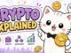 Crypto Explained Simply for Beginners 📈 Blockchain, Mining, HODL and More!