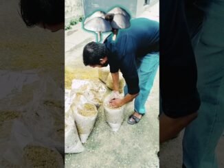Mushroom cultivation, मशरूम खेती, AI video, beginners, Fungi Mycelium, shorts