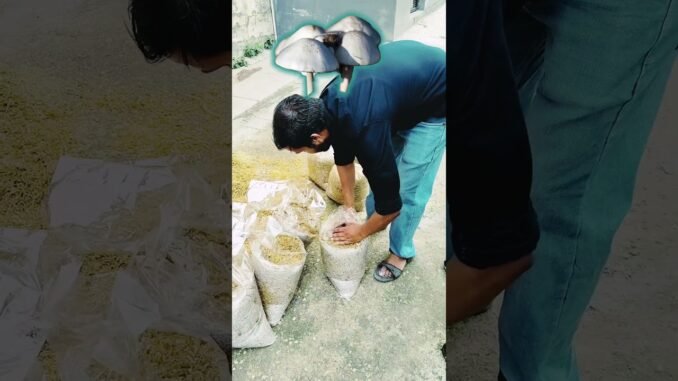 Mushroom cultivation, मशरूम खेती, AI video, beginners, Fungi Mycelium, shorts