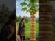 AI Training for Beginners | Artificial Intelligence Full Course in Bangla | AI Tutorial 2026