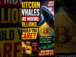 Bitcoin Whales Are Moving Millions 🚨 Should You Care? 🐋₿ #Bitcoin #shorts