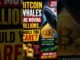 Bitcoin Whales Are Moving Millions 🚨 Should You Care? 🐋₿ #Bitcoin #shorts