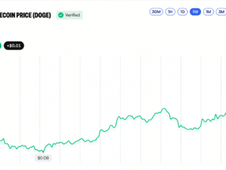 BNB Crosses $800 While DOGE and XRP Log Double-Digit Gains