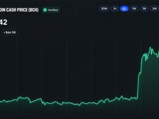 Bitcoin Cash Price Surges 30% as CME Announces BCH Futures Launch